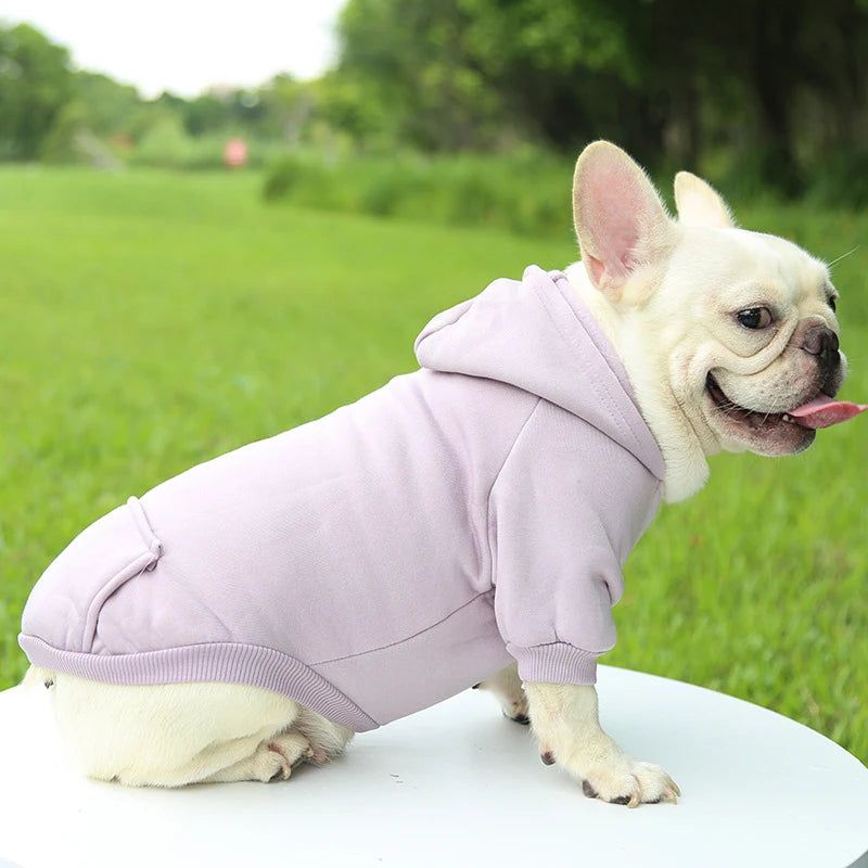 Fashion Dog Clothing Autumn And Winter Small Pet Clothes  Warm