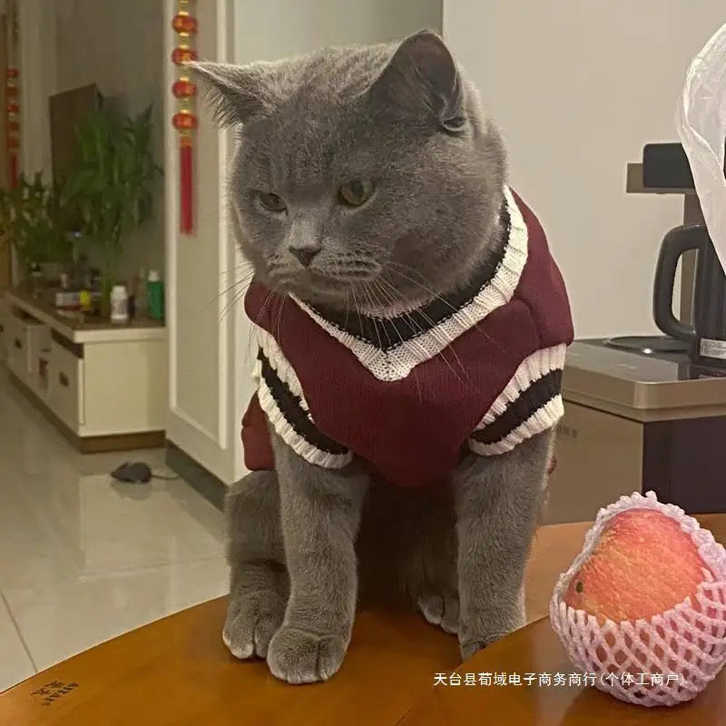 Pet Solid Costume  Cat Clothes Autumn Winter Jacket Christmas