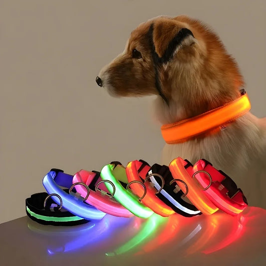 Dog Collar Nylon LED Night Safety Flashing Glow In The Dark Pet